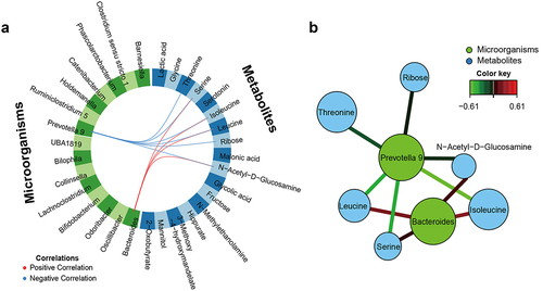 Figure 3. Data integration analysis for biomarker discovery using latent components (DIABLO) graphical outputs on the Korean age study. (a) Circos plot of correlations between urine metabolites and fecal microorganisms. Each dataset is assigned a different color: metabolites are in blue blocks and microorganisms in green blocks. Red and blue lines indicate positive and negative correlations between two variables, respectively (r ≥ |0.50|). (b) Network visualization of urine metabolites and fecal microorganisms derived from circos plots. Each dataset is assigned a different color: metabolites are in blue circles and microorganisms in green circles. Red and green lines indicate positive and negative correlations between two variables, respectively.