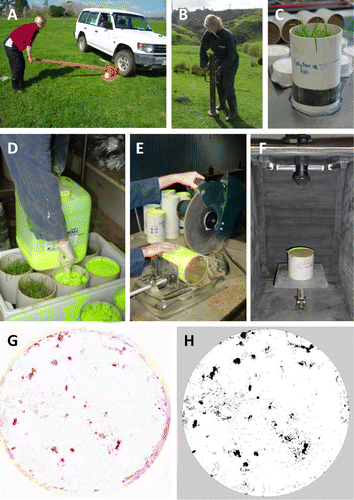 Figure 1  From the field to the image. A, Collecting a soil core using a lever apparatus. B, Collecting a soil core using a hand-held fence post rammer. C, Core before the application of resin. D, Applying the resin. E, Cutting the core with the drop-saw. F, Inside the dark box with core on an adjustable stand with camera and lights mounted on top. G, Raw image of pores taken by camera (colours inverted). H, The same image as converted to a 3-bit image for analysis in Solicon©.