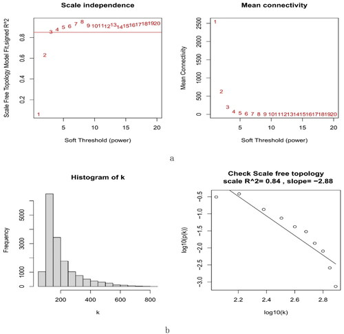 Figure 4. The decision for the soft-thresholding power (β) of WGCNA. (a) Analysis of the scale-free fit index and the mean connectivity. The line shows that the relations coefficient was 0.85, and this counterpart (β) was 3. (b) Histogram of connectivity distribution and evaluating the scale-free topology when β = 3. WGCNA: weighted gene coexpression network analysis.