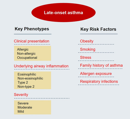 Figure 1 Key phenotypes and risk factors of late-onset asthma.