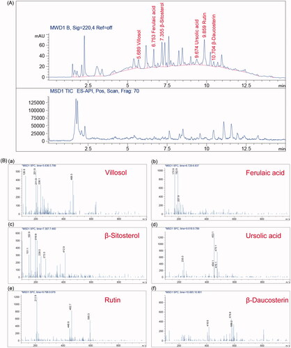 Figure 9. LC-MS analysis of bioactive compounds in the SO extracts. (A) LC-UV chromatogram monitored at 220 nm and LC-MS positive-ion ESI-MS total ion current (TIC) profile. (B) (a) Villosol at RT 5.689; (b) Ferulaic acid at RT 5.753; (c) β-Sitosterol at RT 7.355; (d) Ursolic acid at RT 9.674; (e) Rutin at RT 9.859; (f) β-Daucosterin at RT 10.704.