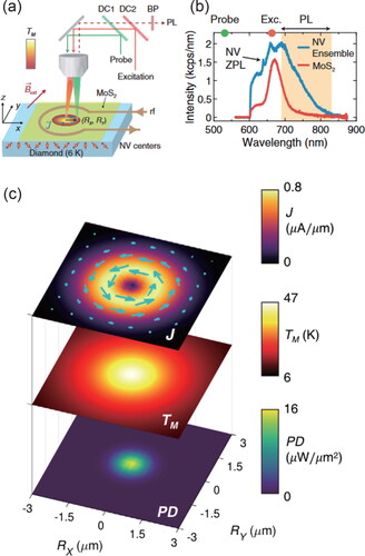 Figure 7. (a) An 661-nm excitation laser was used to generate a temperature distribution within Mos2, driving a circulating photocurrent distribution. The NV centre probed the magnetic field produced by the photocurrent and optically read out by a ­532-nm probe laser. (b) Room-temperature PL of the boundary between Mos2 and an ensemble NV centre under 532-nm illumination. This graph justified the use of 661-nm excitation wavelength (longer than NV ZPL at 637 nm) to minimize optical excitation. The orange shaded region represented the NV PL collection region. (c) Comparison of the current density model J→ which best fits the data, the simulated laser-induced temperature distribution TM, and the power density PD of the excitation laser. The current density model was in close agreement with the temperature gradient, also agreed with the experiential data. Reproduced from Zhou et al., Phys. Rev. X 10, 011003 (2020). Copyright 2020 Author(s), licensed under a Creative Commons Attribution (CC BY) license.