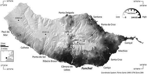 Figure 3. Madeira’s land development pressure during the 1990–2006 period.