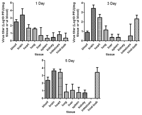 Figure 8. Virus loads in infant mouse tissues. Virus titers in tissues are expressed as mean Log10 PFU ± standard error of mean per 1 mg tissue from groups of 3 mice at 1, 3, 5 d post-infection. Virus titers in sera are expressed as the Log10 PFU per mililiter.