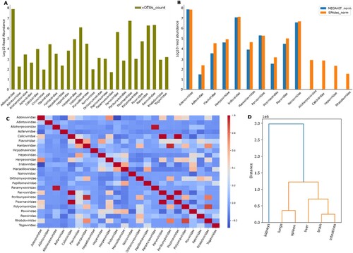 Figure 2. Abundance of selected rodent-associated viral contigs in this study. Sum of viral operation taxonomic units for each indicated viral family (a). Viral read abundance following mapping onto SPAdes (orange) and MEGAHIT contigs (blue) (b). Cooccurrence of indicated viral families across the whole dataset (c). The dark red cells in the heatmap represent strong positive correlations between viral families, indicating that these families tend to co-occur together frequently in the dataset. Hierarchical relationships between rodent organs based on the indicated viral family abundance patterns.