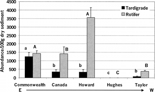 FIGURE 4. Abundance of invertebrates (# 100 g−1 dry sediment) (mean ± standard error) in cryoconite holes of Commonwealth (N = 24), Canada (N = 24), Howard (N = 24), Hughes (N = 24), and Taylor (N = 38) glaciers. Black bars indicate tardigrades and checked bars rotifers. Capital letters indicate significant differences at P ≤ 0.05 among glaciers for rotifers, and lowercase letters indicate significant differences at P ≤ 0.05 among glaciers for tardigrades