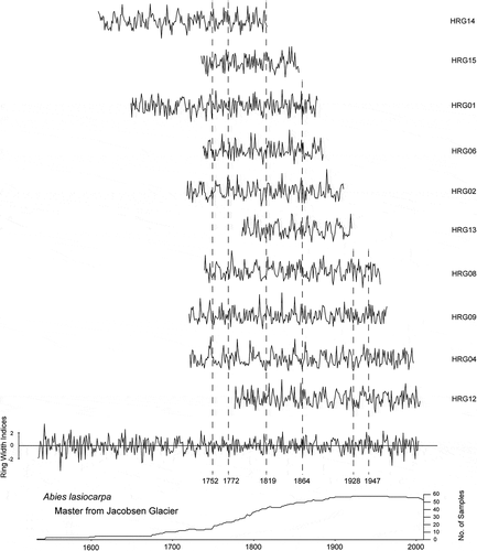 Figure 11. Subalpine fir samples from Hellraving rock glacier visually cross-dated into the living subalpine fir master chronology from Jacobsen Glacier. Marker years, indicated by the dashed lines, were used to visually cross-date before verifying in COFECHA