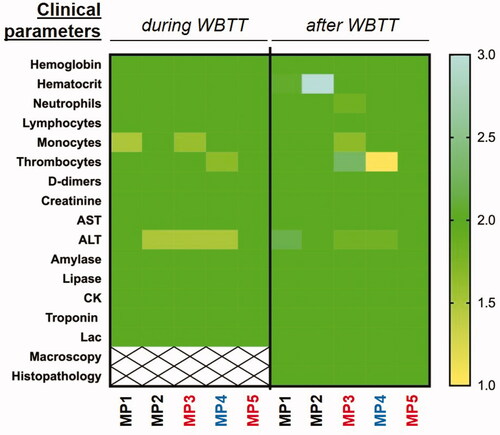 Figure 7. Summary of clinical safety monitoring. All clinical safety observations are summarized for all animals in a heatmap-like format. Briefly, values within normal range (reference values46) were defined as 2, above normal range were defined as how many times the parameters were out of the normal range, and the media established between 2-3, and below normal range was also established between 2-1. AST: aspartate aminotransferase; ALT: alanine aminotransferase; CK: creatin kinase; Lac: lactic acid.