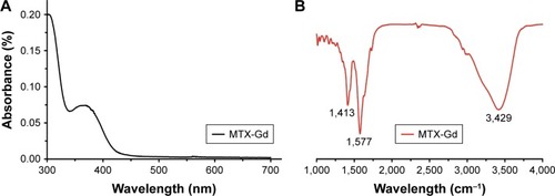 Figure 2 (A) UV–visible–NIR absorbance spectra of MTX-Gd. (B) FTIR spectra of MTX-Gd.