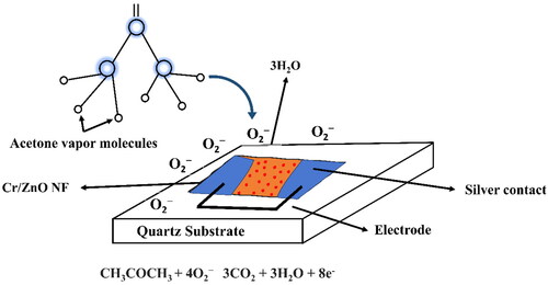 Figure 6. Sensing mechanism for acetone vapor.