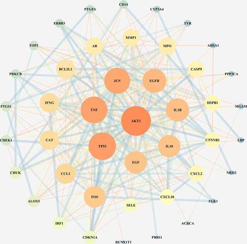 Figure 2. Junction targets of the XBJ injection and COVID-19. The darkness of the color and size of the circle are positively correlated with the role of the target in the network