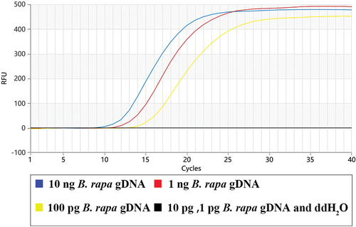 Figure 4. Sensitivity determination of the developed Proofman-LMTIA assay.