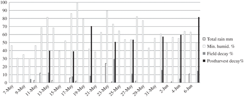 FIGURE 1 Daily total rainfall (mm) and minimum relative humidity (%) during the strawberry fruiting season at the USDA-ARS Beltsville Agricultural Research Center, Beltsville, MD, in 2010 (George Meyers, BARC-RSS, personal communication, December 2010), plus percentage decay of fruit from 58 strawberry genotypes evaluated at each of nine harvest dates from 10 May through 7 June 2010. Percentage decay in the field was calculated at each harvest for each of three plots of each genotype from the weight of fruits harvested separately into a container of decayed fruit and a container of fruit showing no signs of decay. Fruits from these harvests were placed into containers and stored at 5°C for 9 to 12 days. After storage, the percentage decayed fruit was calculated from the number of decayed fruits and the total number of fruits.