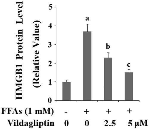 Figure 7. Vildagliptin inhibits FFA-induced release of high mobility group box-1 protein (HMGB1). Human umbilical vein endothelial cells (HUVECs) were treated with high FFAs (1 mM) in the presence or absence of vildagliptin (2.5 μM, 5 μM) for 48 h. Secretion of HMGB1 was determined by ELISA (a, b, c, p < .01 vs. previous column group).