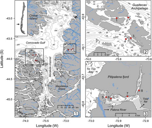 Figs 1–3. Chilean Inland Sea. Fig. 1. The map shows a section of the Chilean Inland Sea, including the locations of the two study sites, Guaitecas Archipelago and Pitipalena Fjord. Fig. 2. The four sampling stations (1–4) in Guaitecas Archipelago. Fig. 3. The four sampling stations (5–8) in Pitipalena Fjord. Rivers, main streams and bathymetry are shown.