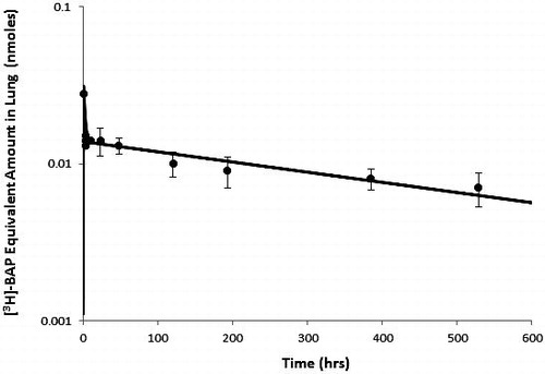Figure 4. Model predicted amount of [3H]-BaP after a single nose-only exposure in rats to 0.0055 mg/m3 [3H]-BaP (3.9 mg/m3 total mass). Data from Sun et al. (Citation1984).