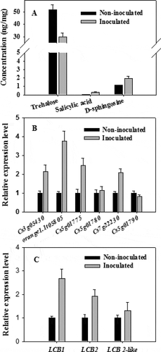 Figure 8. (a) Comparison of the concentrations of specific chemicals (trehalose, salicylic acid, and D-sphingosine) between the P. italicum-infected and healthy cuticles of Valencia orange based on a UPLC-QQQ-MS analysis. Expression of six genes encoding trehalase (b) and three genes encoding serine palmitoyl transferase (c) in non-inoculated and inoculated Valencia orange fruits at 3 dpi.