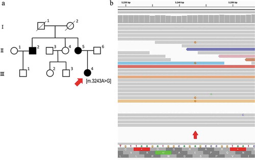 Figure 1. Pedigree chart and an integrative Genomics Viewer (IGV) image