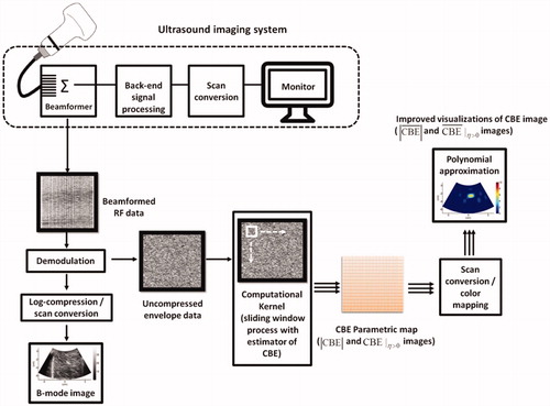 Figure 2. The algorithmic flow chart for ultrasound CBE imaging illustrates use of the sliding-window technique for regional CBE estimations. Conventional and single-phase CBE images were constructed using the strength (magnitude) of CBE and positive CBE values, respectively. The details of the algorithm are presented in the Materials and Methods section.