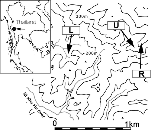 Figure 1 Map of the study site in Thailand. Plots R, U, and L denote the ridge, upper, and lower slopes, respectively.