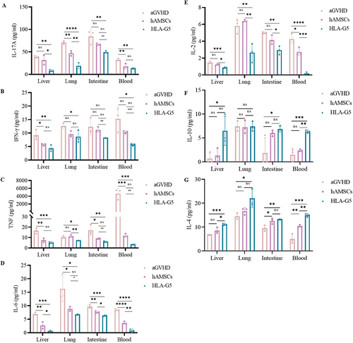 Figure 5 Overexpression of HLA-G5 in hAMSCs decreased pro-inflammatory cytokines secretion and increased anti-inflammatory cytokines secretion in aGVHD mice.
