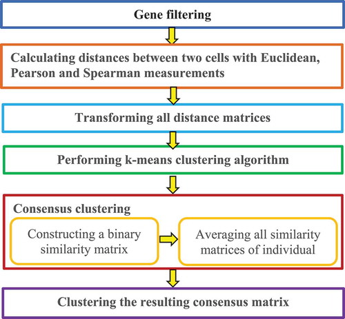 Figure 6. Flowchart of single-cell consensus clustering method.