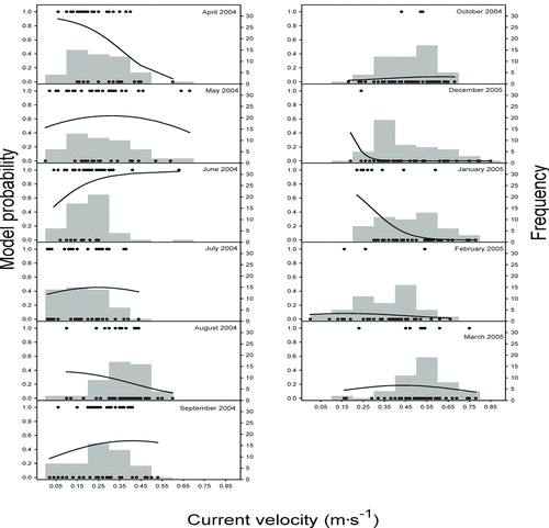 Figure 2 Fitted probabilities of logistic regression models for sharpnose shiner presence and frequency of current velocities for samples taken monthly from April 2004 through March 2005. Black dots represent the presence or absence of sharpnose shiner in each of the 50 seine hauls made during each month. Flood conditions prevented sampling during November 2004