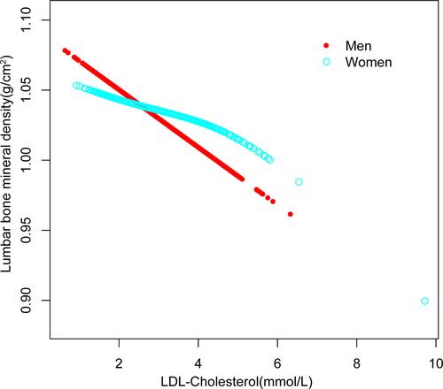 Figure 2 The association between low-density lipoprotein cholesterol and lumbar bone mineral density stratified by sex. Age, race, educational level, BMI, family income-to-poverty ratio, moderate activities, smoking at least 100 cigarettes over the life period to the point of data collection, diabetes status, hypertension status, ALT, AST, total calcium, blood urea nitrogen, serum uric acid, and serum phosphorus were adjusted.