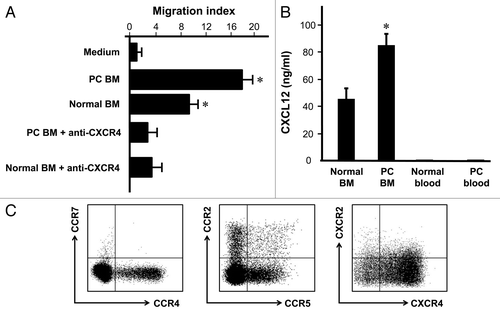 Figure 2. Treg migrate toward bone marrow through CXCR4/CXCL12. (A) Bone marrow Treg were subject to migrating with normal human bone marrow fluid or human bone marrow fluid from patients with bone marrow metastasis. Anti-CXCR4 and isotype were added in the migration assay (n = 6; *p < 0.01; compared with medium or anti-CXCR4). (B) Human bone marrow expressed high level of CXCL12. CXCL12 was measured by ELISA in bone marrow fluid and blood from normal donors (n = 6) and patients with prostate cancer (n = 5). Results are expressed as mean ± SD *p < 0.01. (C) Bone marrow Treg cells expressed high levels of CXCR4. Bone marrow cells were stained with anti-CCR2, CCR4, CCR5, CCR7, CXCR2 and CXCR4 and Treg cell markers, and analyzed with LSR II. The chemokine receptor expression was determined by gating on CD3+CD4+Foxp3+ cells. One of 6 representatives is shown.