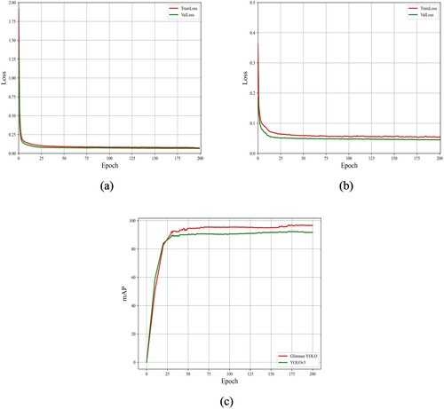 Figure 9. Training results of Glimmer YOLO vs. YOLOv5s model. (a) Glimmer YOLO Loss curve; (b) YOLOv5s Loss curve; (c) mAP of Glimmer YOLO vs. YOLOv5s.
