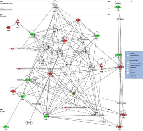 Figure 4 Functional pathway analysis using the IPA database.