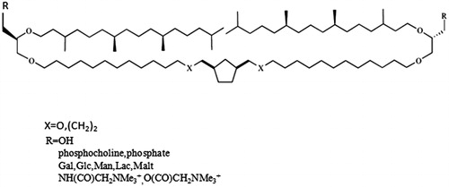Figure 5. Synthetic archaeal lipid analogs comprising a cyclopentane ring.