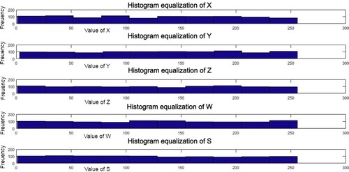 Figure 8. Histogram equalization of x, y, z, w, and s dimensions.