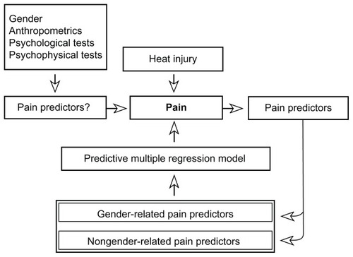 Figure 1 The study algorithm: gender, anthropometric, psychological, and psychophysical variables are used as potential predictors of heat injury-induced pain.