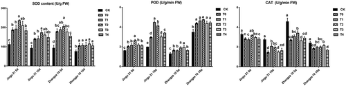 Figure 5. Effects of humic acid (HA) on the activity of SOD (left), POD (middle), and CAT (right) of Zhangza 10 and Jingu 21 penultimate leaves under drought stress.