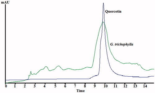 Figure 9. HPLC chromatograph of G. trichophylla chloroform extract and quercetin at 280 nm.
