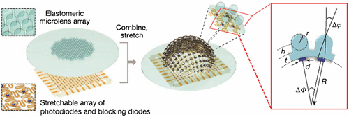 Figure 18. (Left) Elastomeric microlens array and corresponding array of photodiodes and blocking diodes which are interconnected by filamentary wires. Magnified view of both the subsystems are shown. (Right) Bonding them together and stretching them provides the camera a hemispherical shape. (Inset) Magnified view of two elements of the camera; Δφ – acceptance angle and ΔΦ – inter-ommatidial angle, t – thickness of the basement membrane attached to microlens, h – height of the supporting post, R – radius of curvature of the camera, d – diameter of active portion of the photodiode. Source: Song et al. 2013, reproduced with permission from Nature.