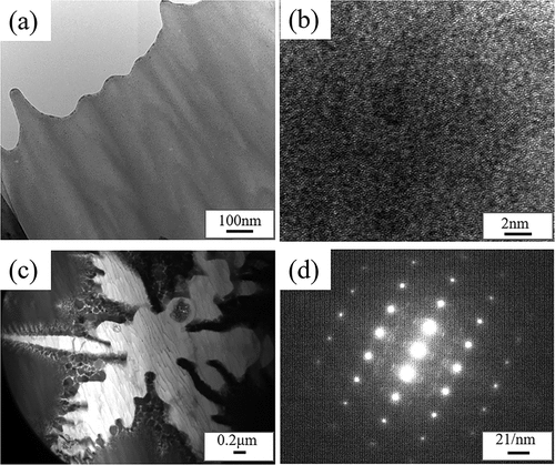 Figure 4. TEM bright field image (a) and high-resolution TEM image (b) of the Mg-Zn-Ca amorphous alloy, and TEM bright field images with an electron diffraction pattern of the crystal phase (c,d). TEM, transmission electron tomography.