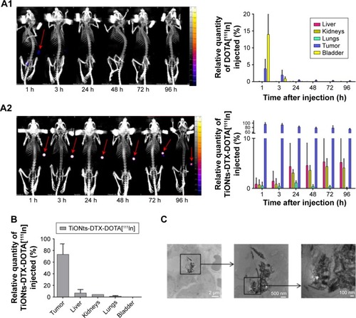 Figure 3 TiONts-DTX biodistribution analysis.Notes: (A) SPECT-CT imaging of kinetics and biodistribution analysis for each organ (expressed as a percentage of injected 111In activity, taking into account the decrease in 111In activity after the injection of DOTA[111In] (A1) or TiONts-DTX-DOTA[111In] (A2)). (B) TiONts-DTX-DOTA[111In] biodistribution in dissected organs by radioactivity detection using gamma counting 7 days after injection (mean value ± SD). (C) TEM images showing the intracellular location of TiONts-DTX 24 h after injection into PC-3 tumors.Abbreviations: DTX, docetaxel; SPECT-CT, single-photon emission computed tomography-computed tomography; TEM, transmission electron microscopy; TiONts, titanate nanotubes.