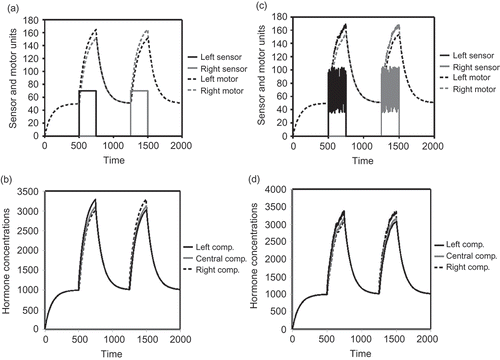 Figure 4. (a) Dynamics of sensor values and resulting motor inputs (no sensor noise). (b) Corresponding dynamics of hormone concentrations in the three compartments (no sensor noise). (c) Dynamics of sensor values and resulting motor inputs (±50% sensor noise). (d) Corresponding dynamics of hormone concentrations in the three compartments (±50% sensor noise).