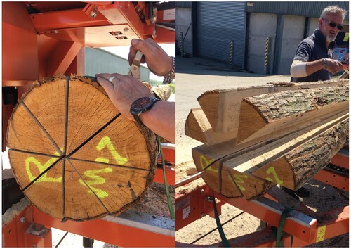 Figure 1. Radial cutting of 300 mm diameter coppiced sweet chestnut log.
