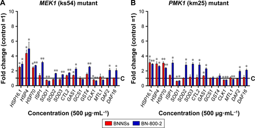 Figure S4 mRNA expression of oxidative stress-response genes in BNNS- or BN-800-2-exposed MEK1 and PMK1 mutant Caenorhabditis elegans.Notes: The relative expression of genes related to oxidative stress response in MEK1 (A) and PMK1 (B) mutant C. elegans with exposure to BNNSs or BN-800-2 at a concentration of 500 µg·mL−1 for 24 hours. Three experimental repeats (three technical replicates for each experiment); C, control. All mRNA levels were normalized to ACT1 mRNA levels and expressed as fold change relative to the untreated control. All experiments were done by exposing L4-stage larvae to BNNSs or BN-800-2 in K medium in 24-well plates at 20°C. Data presented as means ± SEM. *P<0.05; **P<0.01.Abbreviations: BNNSs, boron nitride nanospheres; BN-800-2, highly water-soluble boron nitride; SEM, standard error of mean.