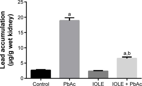 Figure 2 Ameliorative effects of IOLE on Pb accumulation in the kidney tissue of rats treated with PbAc for 5 days.