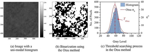 Figure 2. Limitation of the Otsu method when dealing with unimodal images.