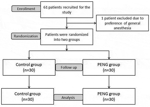 Figure 1. Study flow chart.