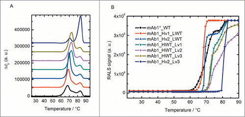 Figure 3. (A) DSC thermograms and (B) RALS curves for wild-type antibody mAb1*_WT and variants. (A) The major endothermic transition can be assigned to the unfolding of the Fab region of the antibodies.Citation32,33 The position of this peak is listed in Table 2: Notice a drastic shift of this peak when comparing the wild-type protein with the variant with engineered heavy and light chain mAb1_Hv2_Lv3. (B) Upon temperature ramping the light scattering of the sample is recorded, increasing scattering is commonly attributed to the formation of aggregates and protein precipitate. The corresponding onset temperatures are listed in Table 2. While the wild-type starts aggregating at 61 °C, the onset for the variant with engineered heavy and light chain mAb1_Hv2_Lv3 is at 79 °C.