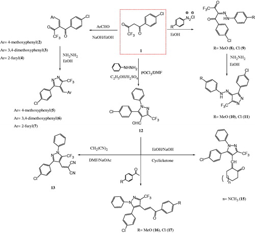 Scheme 1. Synthesis of the designed chalcone, hydrazone and pyrazole analogues.