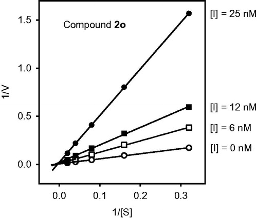 Figure 7. Kinetics of HNE inhibition by compound 2o. Representative double-reciprocal Lineweaver–Burk plot from three independent experiments.