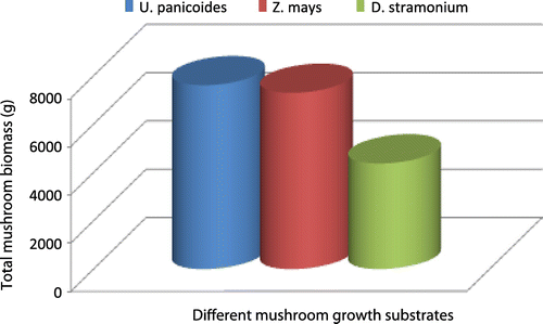 Figure 3a. Total mushroom biomass from different mushroom growth substrates for the production period (g).