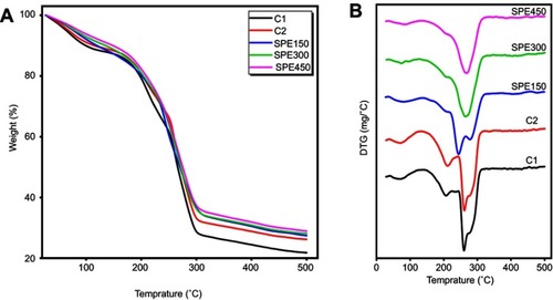 Figure 6 The TGA (A) DTG (B) curves of CMC film (C1), CMC/TiO2-2% (C2) nanocomposite and active nanocomposites with 150 (SPE150), 300 (SPE300) and 450 mg/mL (SPE450) of Miswak extract.Abbreviations: C1, CMC film; C2, CMC/TONP-2% nanocomposite; CMC, carboxymethyl cellulose; DTG, TGA-derivative or the derivative of TGA; SPE, Salvadora persica L. root extract; SPE150, SPE300, and SPE450, CMC/TONP-2% containing 150, 300, and 450 mg/ml of SPE, respectively; TGA, thermal gravimetric analysis; TONP, TiO2 nanoparticles.